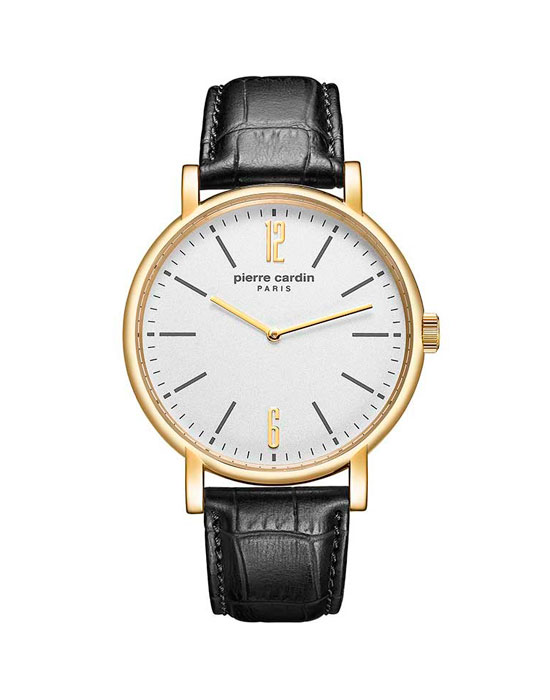 Часы Pierre Cardin Gents PC902251F02